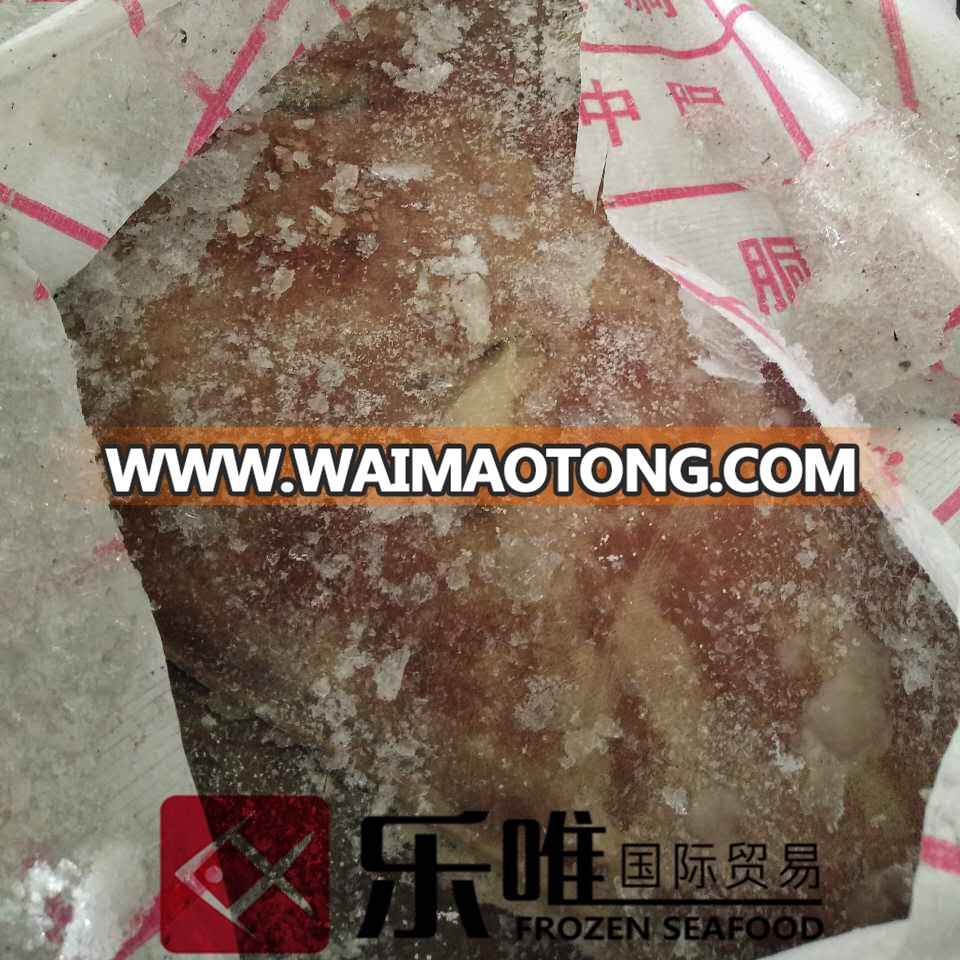 frozen giant squid wings price for sale